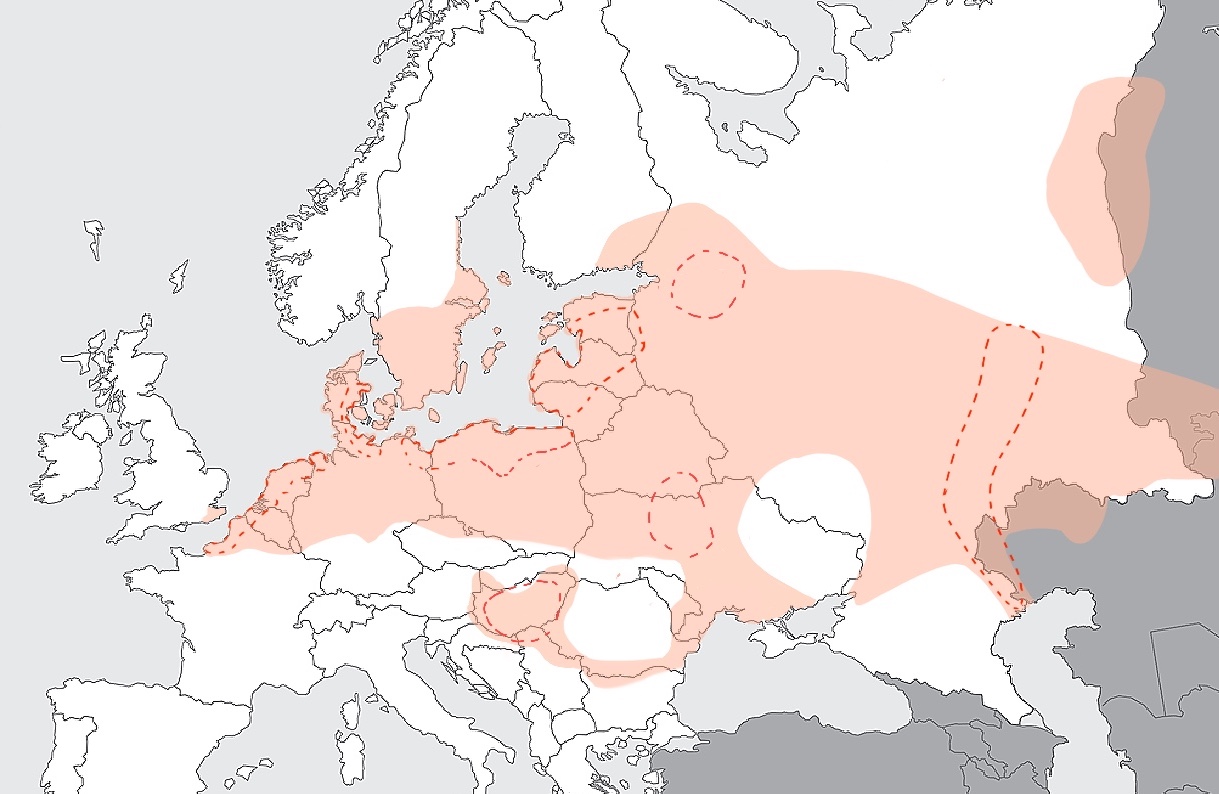 Verspreiding van de meervleermuis, incl gebieden met relatief hoge dichtheden