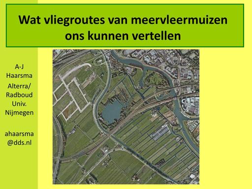 Wat vliegroutes van meervleermuizen ons kunnen vertellen