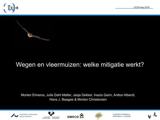 Wegen en vleermuizen: welke mitigatie werkt?