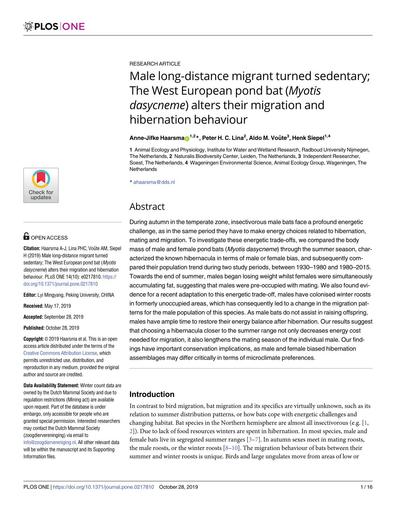 Male long-distance migrant turned sedentary; The West European pond bat (Myotis dasycneme) alters their migration and hibernation behaviour