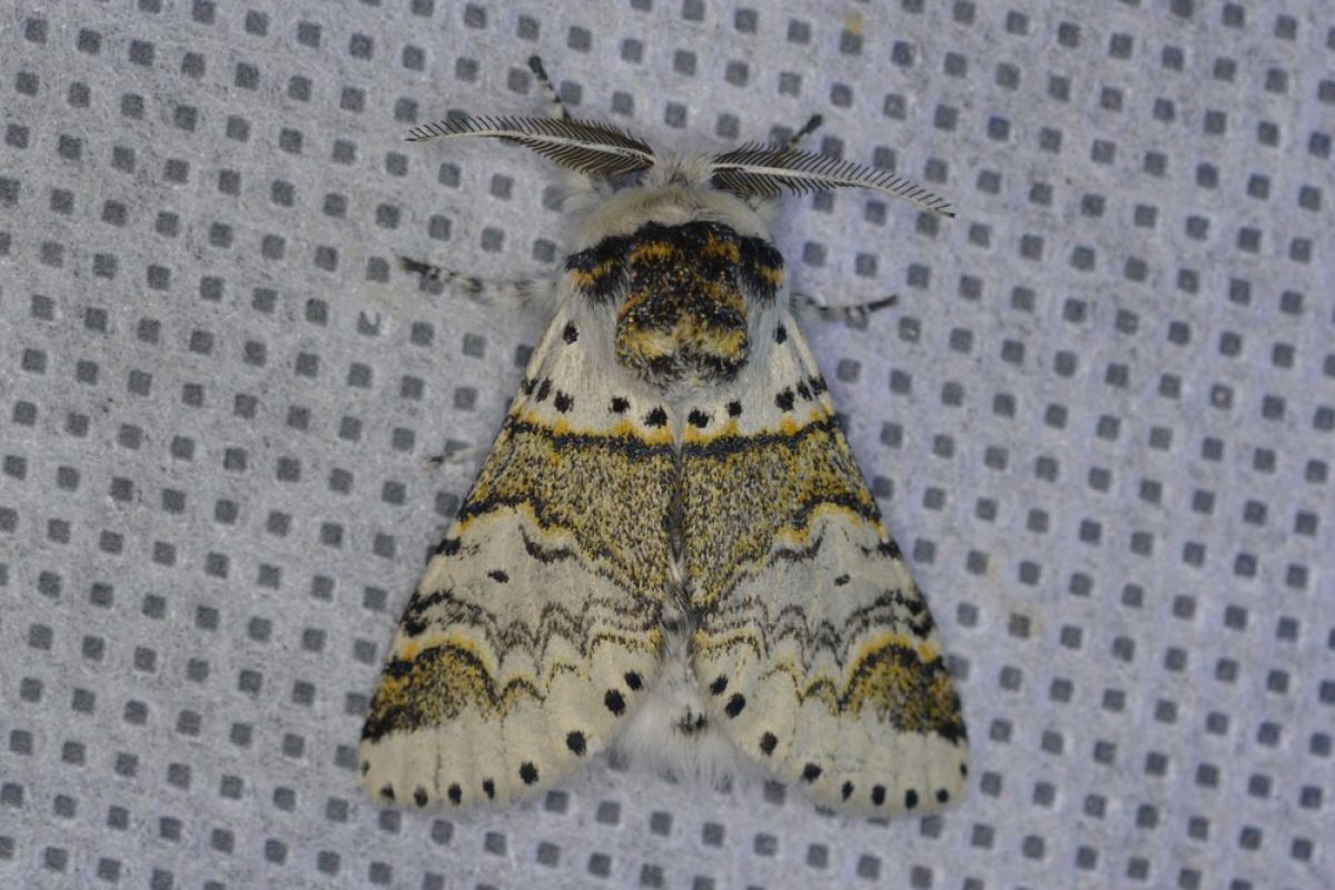 images/IMG-20230809-WA0006.jpg#joomlaImage://local-images/IMG-20230809-WA0006.jpg?width=1000&height=667