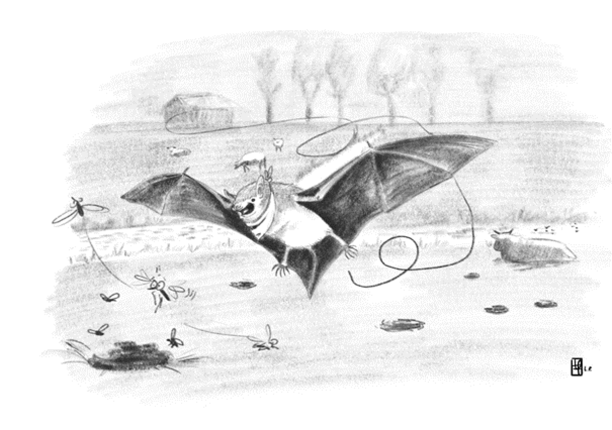 images/jagen_boven_weilanden.png#joomlaImage://local-images/jagen_boven_weilanden.png?width=605&height=426