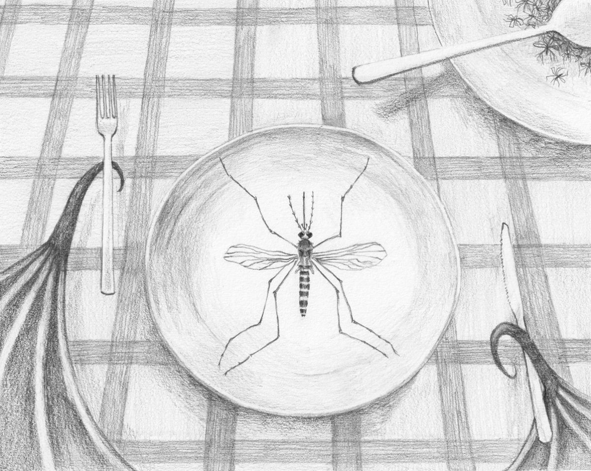 images/ondiep_water.jpg#joomlaImage://local-images/ondiep_water.jpg?width=1196&height=954