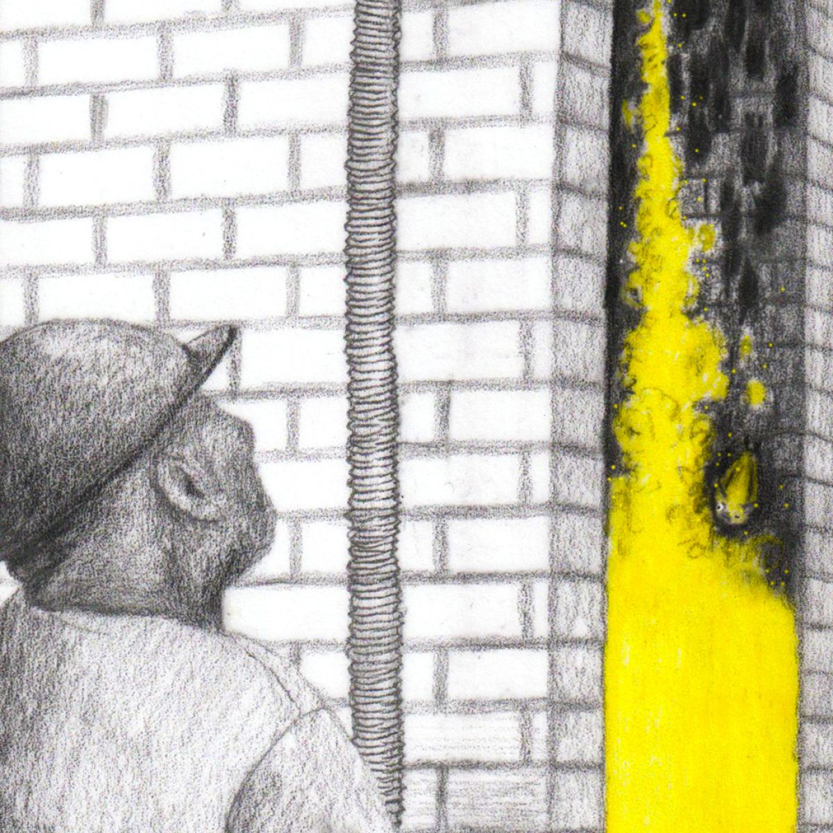 Man die spouw met vleermuizen erin isoleert: door illusterre
