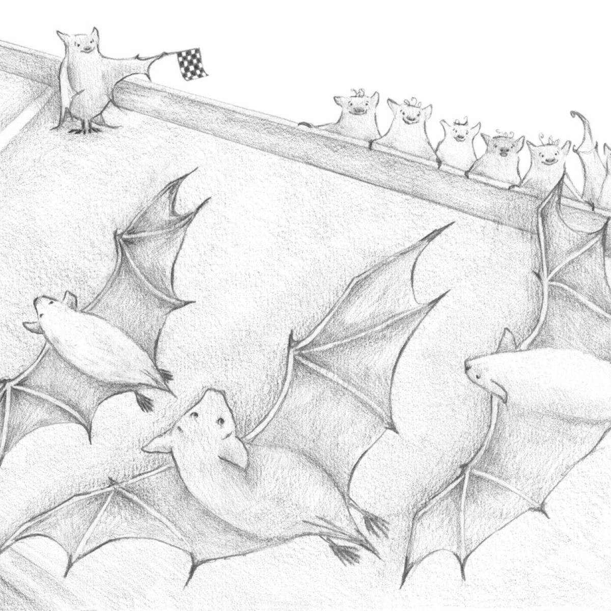 mannen meervleermuis vliegen achter elkaar aan.