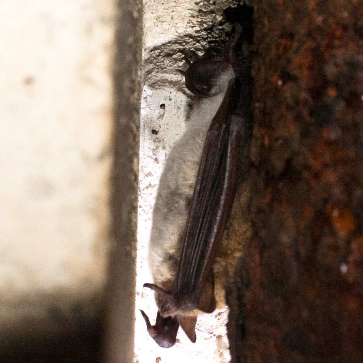 images/IMG-20231025-WA0002.jpg#joomlaImage://local-images/IMG-20231025-WA0002.jpg?width=1214&height=1216