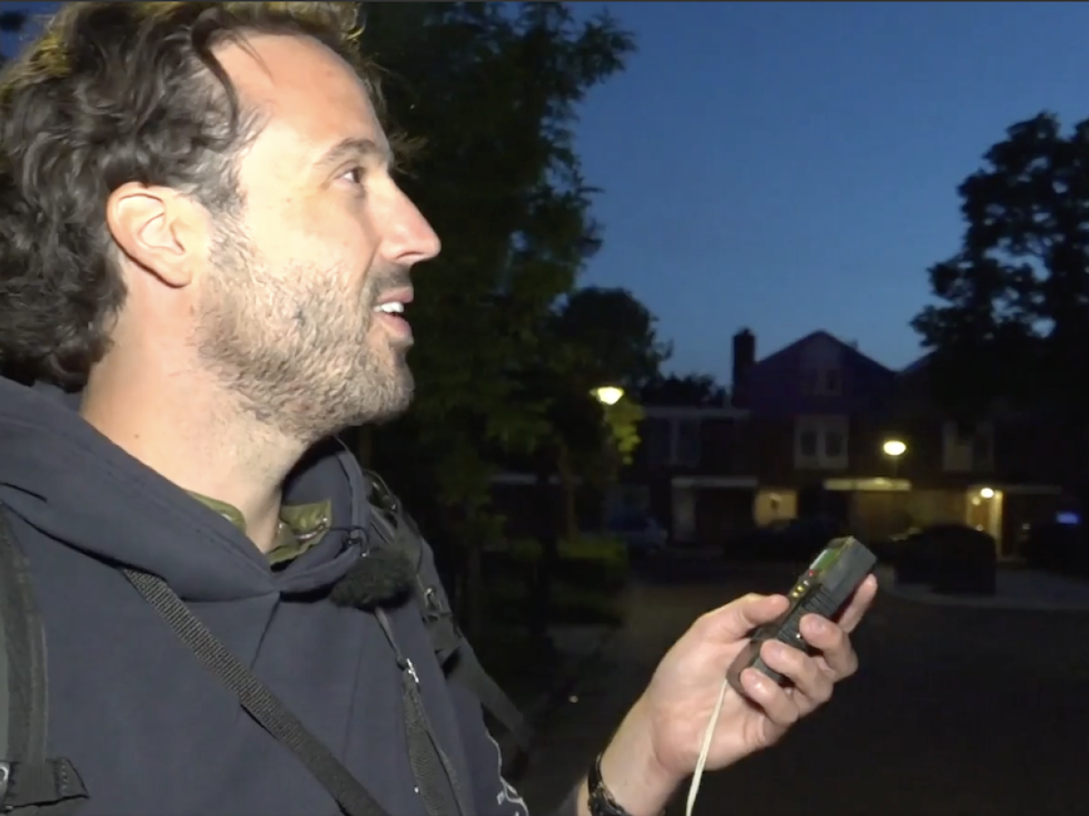 Stadsecoloog onderzoekt meervleermuizen